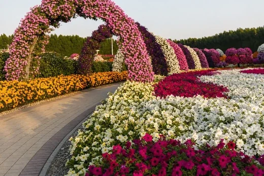 A flower-covered arch over a path between dense petunia beds (AI-generated image)