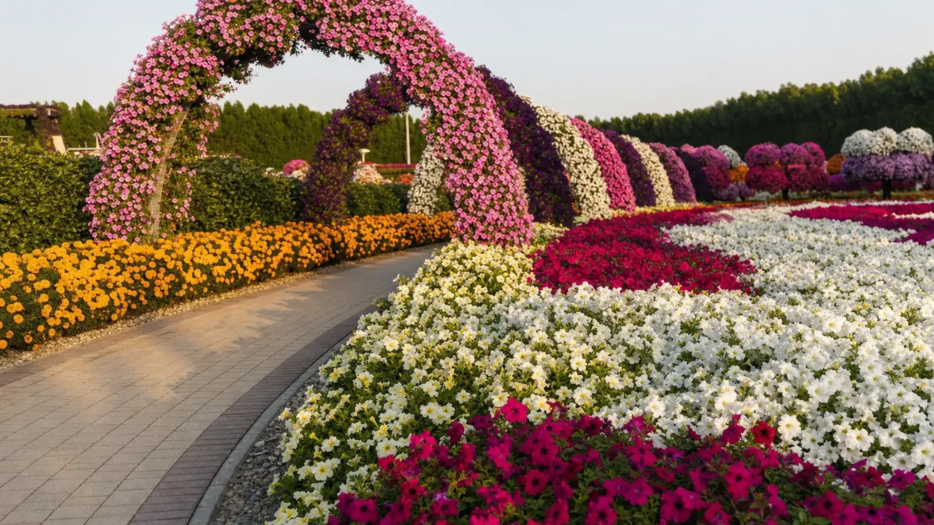 A flower-covered arch over a path between dense petunia beds (AI-generated image)
